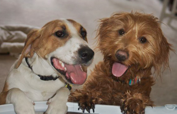 Quincy and Gracie